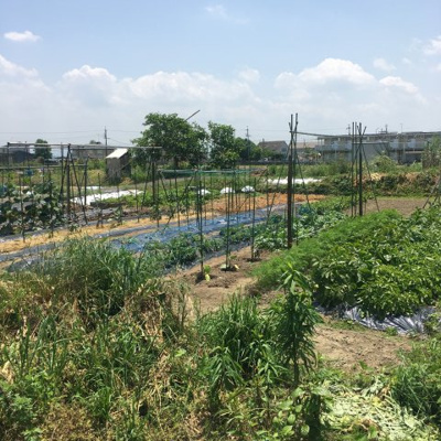 【外観】 | 大津市雄琴5丁目20　売土地 | 外観　北西側