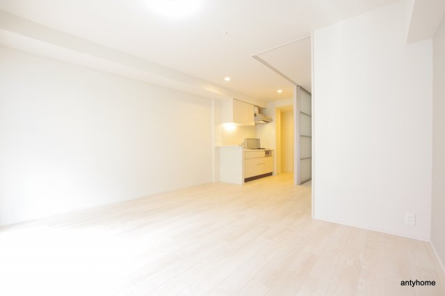 オーパスレジデンス心斎橋サウス　仲介手数料無料の居間・リビング