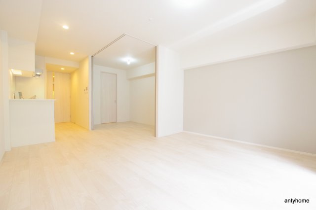 オーパスレジデンス心斎橋サウス　仲介手数料無料の居間・リビング