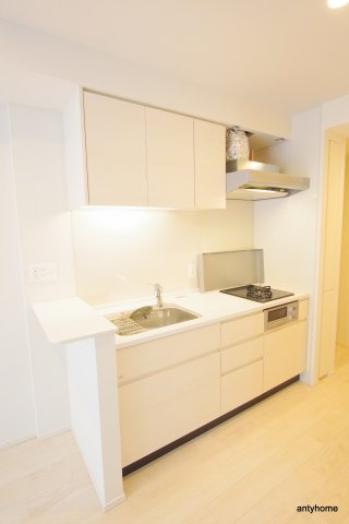 オーパスレジデンス心斎橋サウス　仲介手数料無料のキッチン