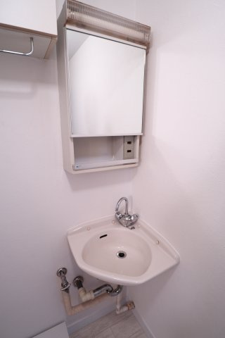 歌敷山ダイヤハイツの洗面所