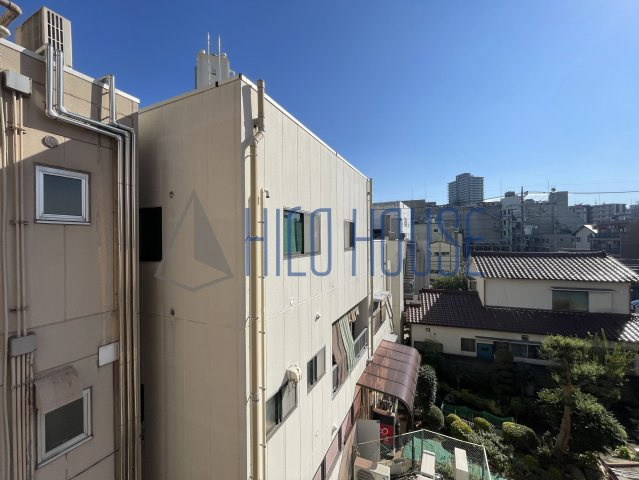 ルネス　カメリアの展望