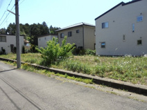 東大橋2120-82.83の画像