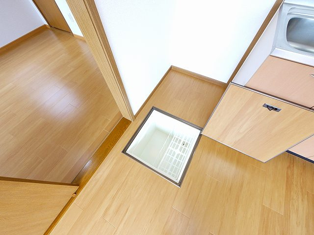 グレイスコートの収納|大きなものも収納できそうです