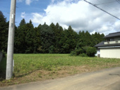 山崎2251-16.17　陣場の画像