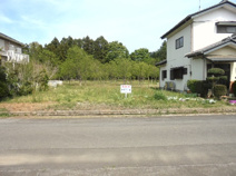 真家2502-198　第５東宝ランドの画像