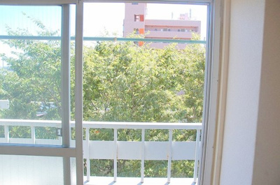 【展望】 | チェリータワー