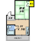 ハイム蘭の画像