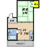 ハイム蘭の画像