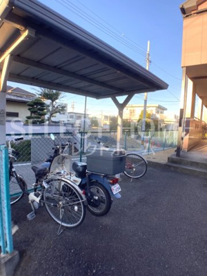  | グレース竜美