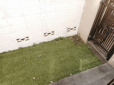 【展望】 | ソレイユ国立