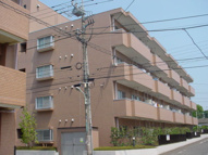 桜マンションの画像