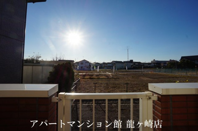 【展望】 | ハナミズキ
