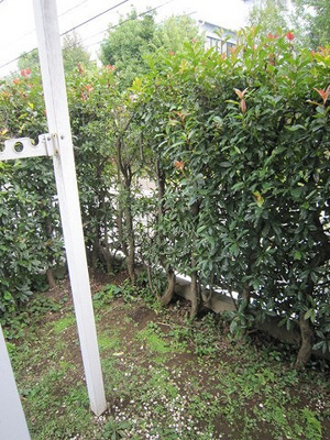 【庭】 | 小泉テラスA | 南東向きの専用庭です！陽当たりが良いので植物もよく育ちそう☆ガーデニングなども楽しめますね♪