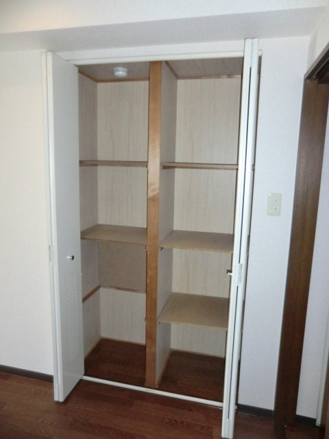 ラフィーネ竹島の収納