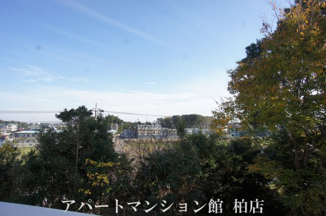 カーザ・ビアンカの展望