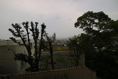 パルナシアン御影の展望