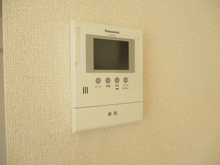 ラ・レアール・パスのセキュリティ