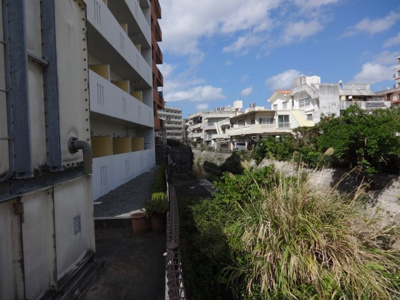 【展望】 | 大新