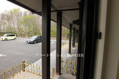 【展望】 | 清流の杜　桜