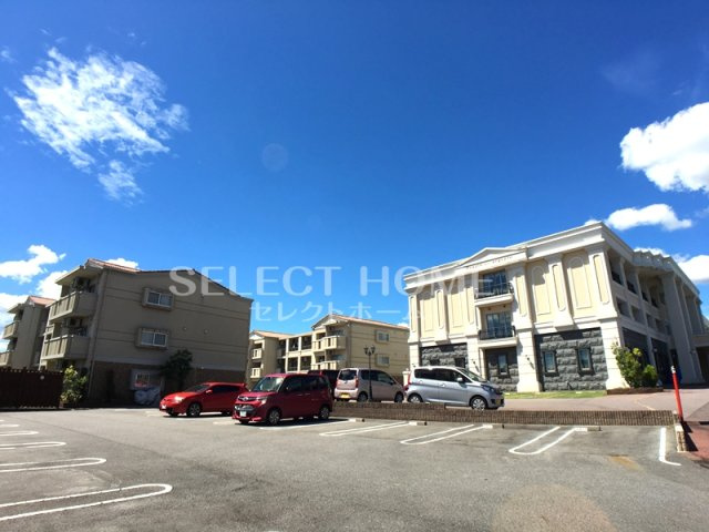  | ｐｏｇｇｉｏ　ａｌ　ｓｏｌｅ　ｔｒｅ