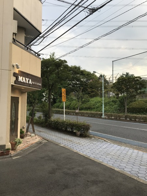 【展望】 | パークサイド | 眺めこんな感じ