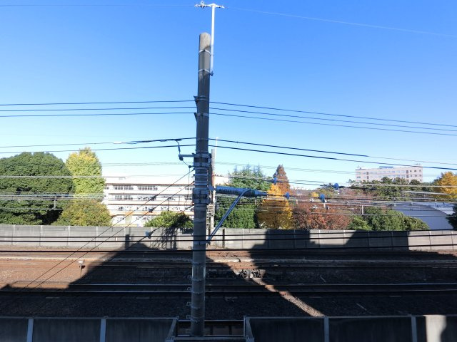 【展望】 | 401からの眺望です
