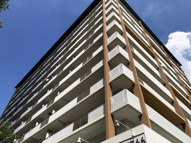 リボンシティコミュニティの画像