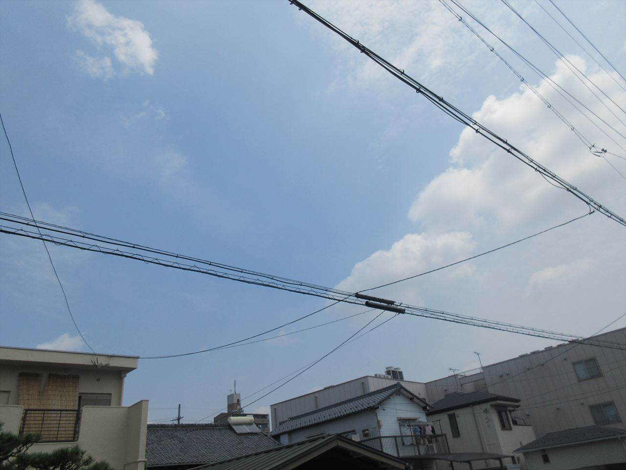 NEST黒川の展望|nest kurokawa