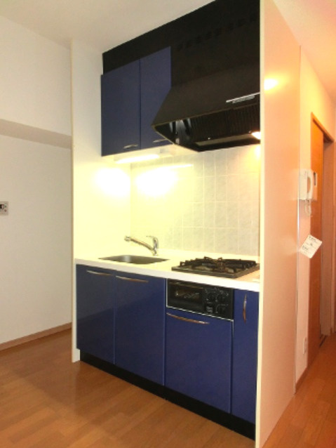 RESIDIA入谷のキッチン|参考写真広々シンクに豊富な収納棚です