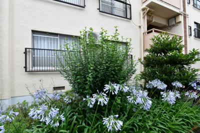 【外観】 | 南田辺コーポ