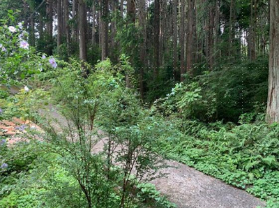 【外観】 | エメラルドタウン