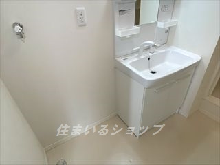 広島市安佐北区三入南１丁目のアパートの洗面所|シャンプードレッサー