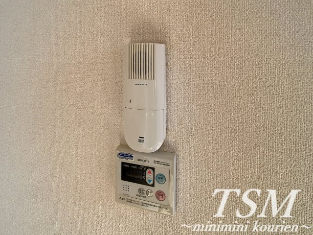 メゾンアイビスのその他|玄関ホール