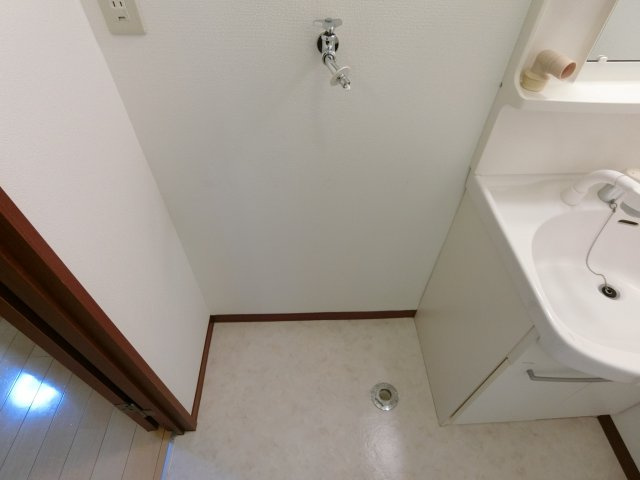 メゾン・ド・プラス　の洗面所