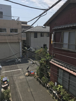 【展望】 | 景色