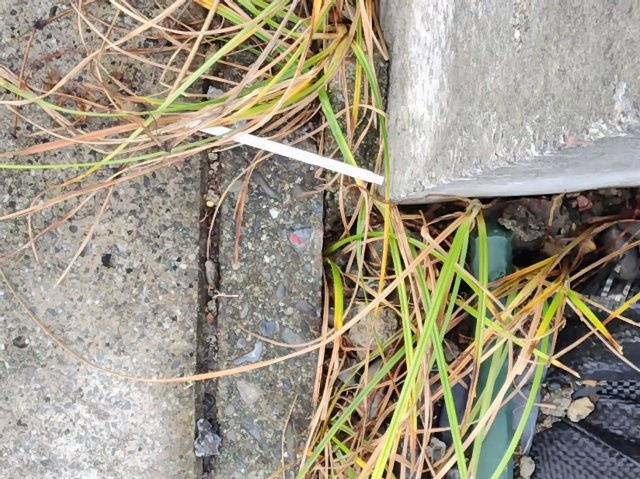 ２４０９９　本巣市上真桑土地のその他