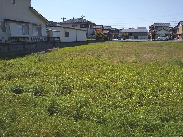 ４５４７４　山県市高木土地の外観