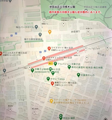 【周辺】 | カテリーナ梅ヶ丘 | 都内有数の羽根木公園も徒歩圏内にあります。