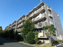 ファーレ野川B棟の画像