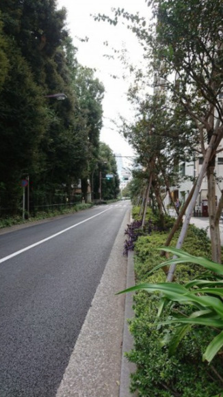 白鳥ビルの周辺