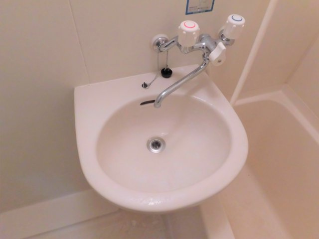 キャッスルK・Sの洗面所