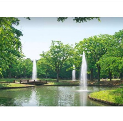 【周辺】 | 代々木5丁目計画