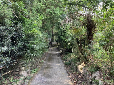 【外観】 | 大津市坂本5丁目24　売土地