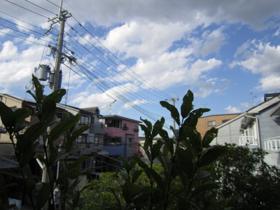 【展望】 | 泉ヶ丘アイビースクエア