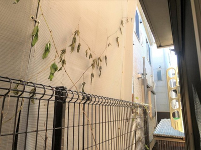 【展望】 | Ｃｉｅｌｏ