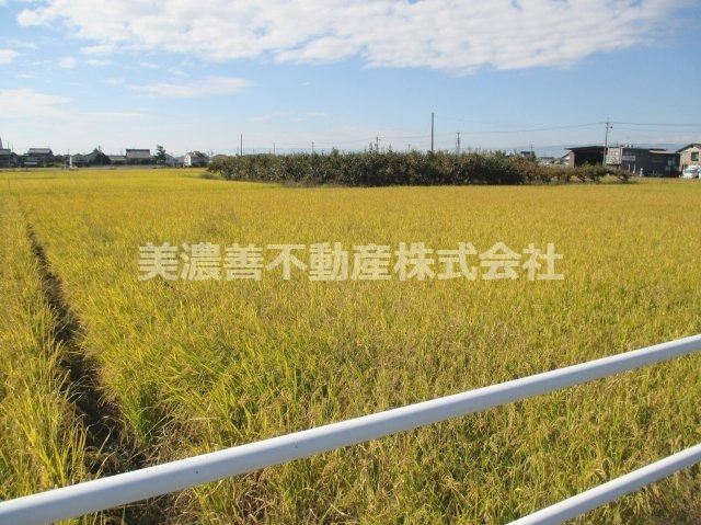 ４１９５２　羽島市正木町森土地の外観