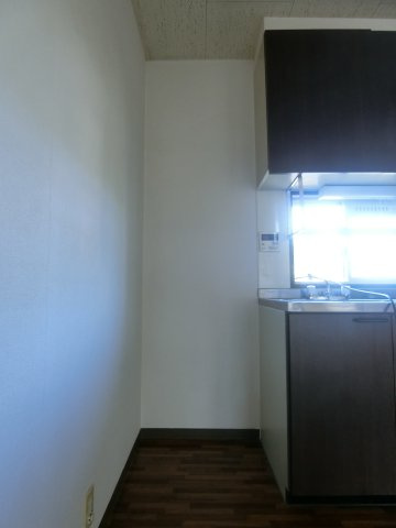 NIFTY（ニフティ）C棟のキッチン
