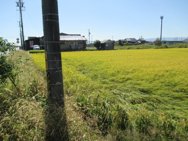 ５１１１２　羽島郡笠松町門間土地の外観