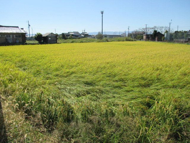 ５１１１２　羽島郡笠松町門間土地の外観